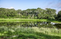 Tract 2 South Nassau Road, Round Top, TX 78954