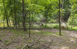 TBD Pheasant Circle, Afton, OK 74331