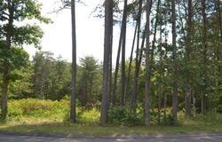 0 Countryside Drive, Dunlap, TN 37327