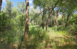 397 County Road 160, Southland, TX 79364