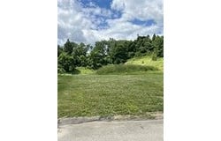 1617 Vineseian Pl, Wilkins Twp, PA 15145
