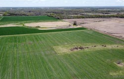 220 Acres M/L Bailey Road, Other, MO 64675