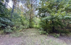 County Road 69, Carrollton, MS 38917