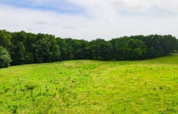 496 County Road 496, Lexington, AL 35648