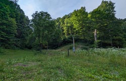 Tbd New Hurland Church Road, Hiltons, VA 24258