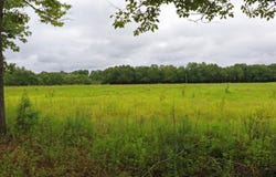1656 Surrey Race Road, Springfield, SC 29146