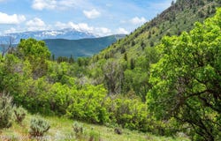 354 Snowmass Creek Road, Snowmass, CO 81654