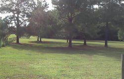 NE Dusty Miller Avenue, Madison, FL 32350