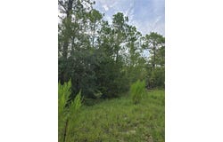 NE 124TH Terrace, WILLISTON, FL 32696