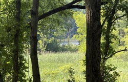 Lasher Road, Dryden, MI 48428