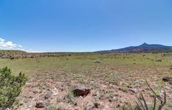 Lot #3 Las Animas de Abiquiu, Youngsville, NM 87064