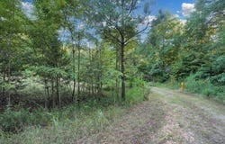 4 Cox Hollow Rd, DOVER, TN 37058
