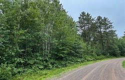 0 Dana Road, Barnes, WI 54873