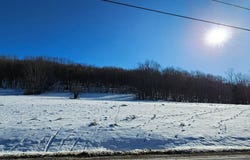 Lot 7.4 Hankins Road, Fremont Center, NY 12736