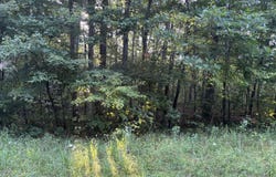 0 Mountain Laurel Tr, Clarkrange, TN 38553