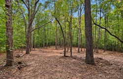 150 Morgan Circle, Carthage, NC 28327