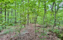 0 Black Bear Den, Clayton, GA 30525