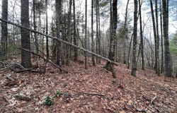 3.16 acres Lot 77, 1712 Round Mountain Parkway unit: 77, Lenoir, NC 28645
