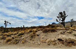 319-13-356 Kingman Drive, Dolan Springs, AZ 86441