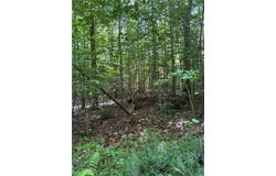 5.2ac Dutton Road, Gloucester, VA 23061