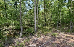 lot 23 Grant County Road 763, Sheridan, AR 72150