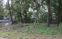1272 Westlake Woods Drive Drive, Springfield, MI 49037