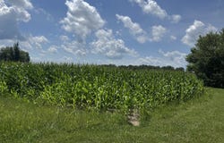 3010 S State Road 39, Lebanon, IN 46052
