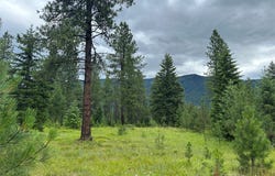 NHN Sapphire Lane lot: 10, Trout Creek, MT 59874