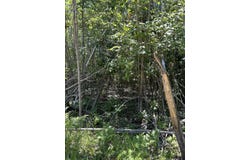 Parcel B Woodmansee Road, Cheboygan, MI 49721