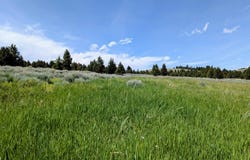 127 Panorama Drive, White Sulphur Springs, MT 59645