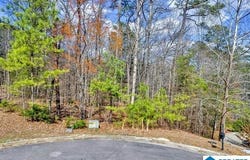 0 BELLERIVE CIRCLE, ONEONTA, AL 35121
