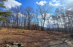 24706 MCMULLEN Highway, MCCOOLE, MD 21562