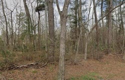 8 Tabony Ct, Walker, LA 70785