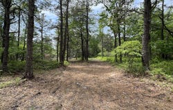 Windy Way 104, Blakeslee, PA 18610