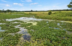 3250 17 Mile Rd., Barryton, MI 49305