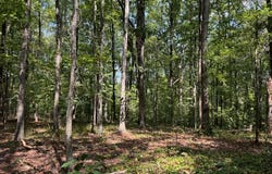 348 A Pat Rich, Canton, GA 30115