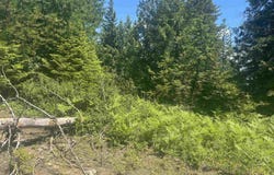 N Foster Ln, Cusick, WA 99180