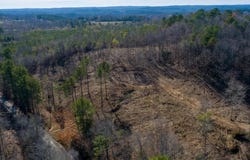 PAUL BOLTON Rd, Parrish, AL 35580