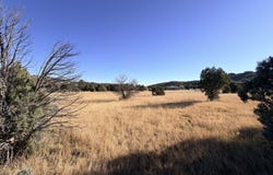 270A Saddleback Road lot: 270A, Alto, NM 88312