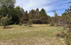 99 Pine Tree Lane, Beulah, MI 49617