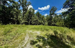 16445 County Road 6220, Edgar Springs, MO 65462