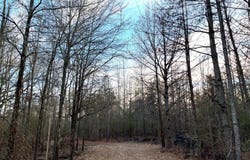 3672 Highway 582 East, Forest, LA 71242