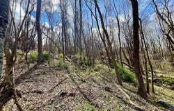 0 HILLSIDE DR., STANLEY, VA 22851
