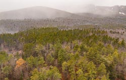 206 Mountain Path, Johnsburg, NY 12853