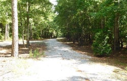 1281 Lee Road 259, Opelika, AL 36804