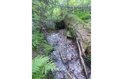 Wallace Creek Road, Clinton, MT 59825