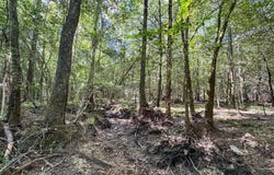 T-3 State Road 3205, Oberlin, LA 71463