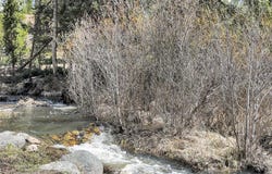 823 GCR 8411, Tabernash, CO 80478