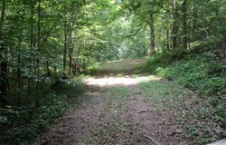 11.5 Acres Osborne Road, Dry Ridge, KY 41035
