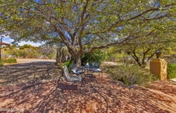 280 W Oak Hills Drive, Oracle, AZ 85623